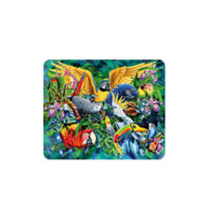 Obrázek z Magnet 3D 7x9cm - ptáci (25) 